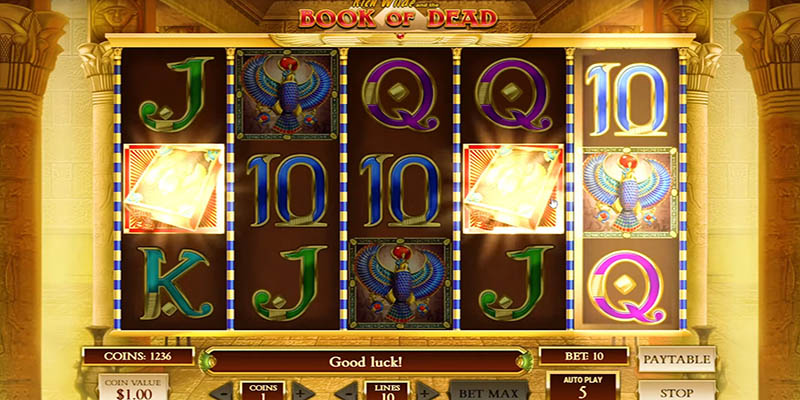 Rtp Book of Dead slot